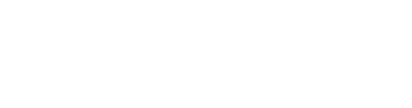 Vernites Chemical Group logo